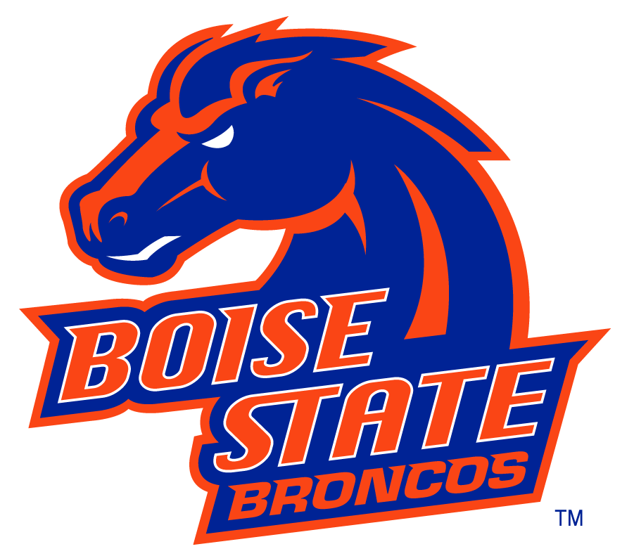 Boise State Broncos 2002-2012 Secondary Logo v24 DIY iron on transfer (heat transfer)